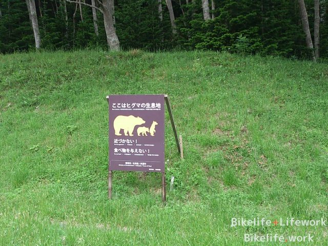 知床はヒグマの生息地