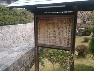 桜井戸
