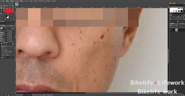 シミだらけの顔写真をGimpの修正ブラシで消す前