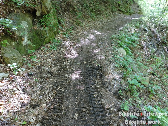 修理などの工事もこの遊歩道を歩いて向かう