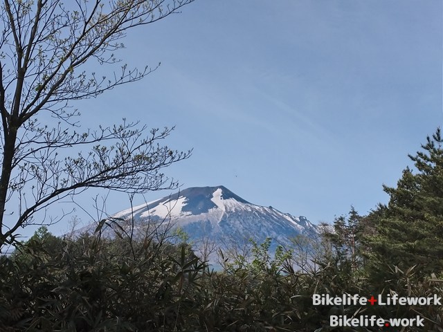 高速のSAから見た岩手山