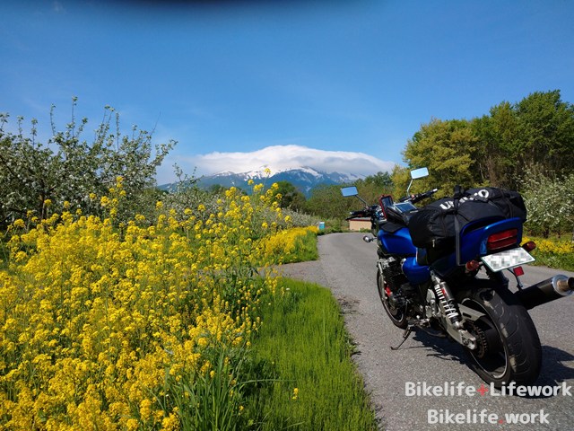 岩木山と菜の花とXJR1200(XJR1300)と