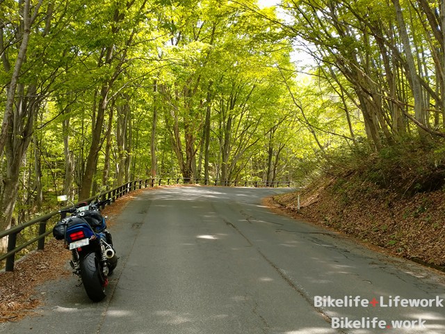アスピーテラインの新緑に包まれているXJR1200(XJR1300)